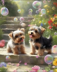 Puppies and Bubbles