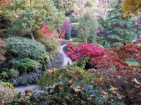 Burchette garden, Canada