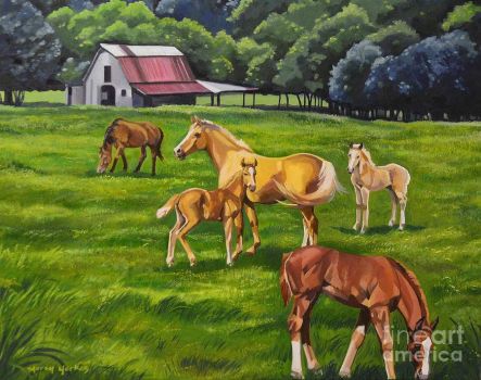 Happy Farm Life by Marcy Conners