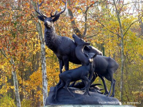 FRANCE - Paris - Parc de Sceaux - Deer, doe and fawn at rest - Georges Gardet, 1908