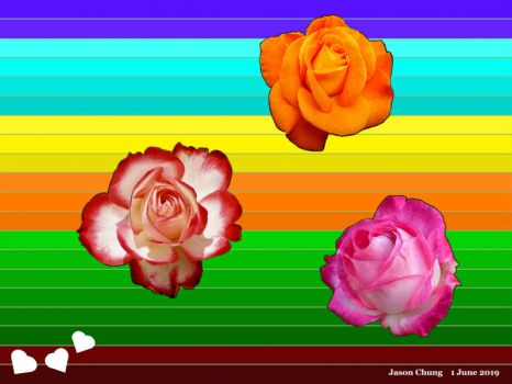 Lovely Roses for June - A Birthday Puzzle for Everyone Born in the Month of June (Jun19P04)