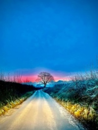 Frosty sunset