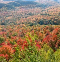 Adirondack hillside in fall