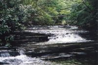 Creek at Little Stony Falls 3