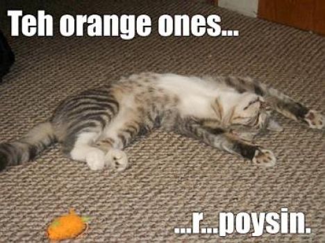 Don't eat the orange colored toy mice!