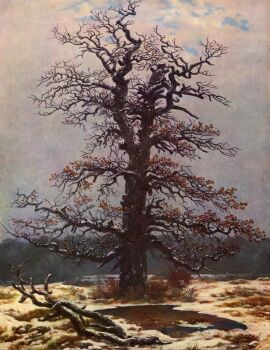 Oak Tree in the Snow - Dub ve sněhu - 1828