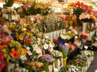 kvetinový trh v Nizze