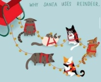 Why Santa Uses Reindeer