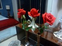 Optical illusion - TWO red roses in ONE bedroom vase