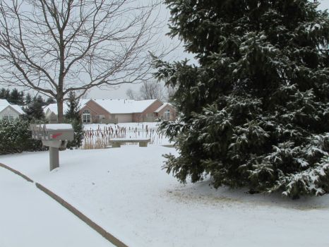 My Neighborhood after the Snow
