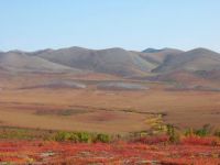 Autumn on the Dempster Highway