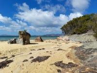Beach on Flinders Island, Tasmania, Australia