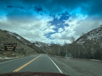 Medicine Bow National Forest