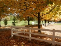 Autumn at Allandale Mansion, Kingsport, TN