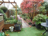 My garden view  today .....