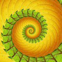 Spiral 03 Small