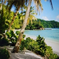 beach on Vanuatu