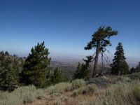View near Inspiration Point/Pacific Crest Trail in Wrightwood CA