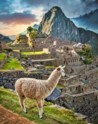 Machu-Picchu in Peru