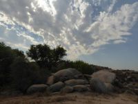 Sycamore Canyon Wilderness Park, Riverside CA  August 4, 2016 #2