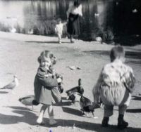 Little Girl & Ducks