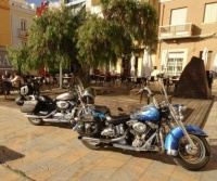 Series Spain: Bikes parked on a boulevard......