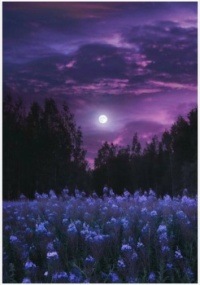 A moon overlooking a beautiful field of flowers