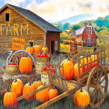 Solve Pumpkin Farm jigsaw puzzle online with 81 pieces