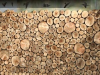 Log Wall Challenge