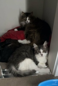 Alphie & Frankie Besties 04