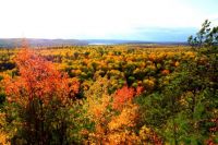 Autumn colour