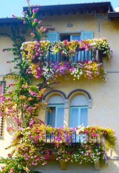 Floral Balconies