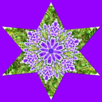 What Could be Nicer Than  a Purple Star?