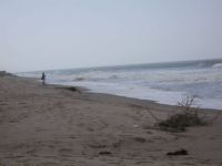 man Fishing