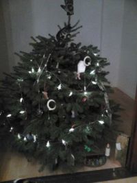 XMAS TREE