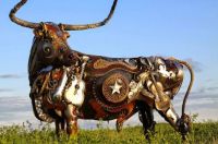Bull