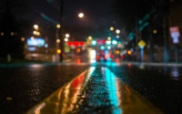 Autumn Night
