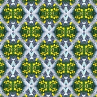 Kaleido
