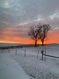 Sunset in Iowa 1-15-2025