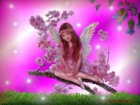 fairy