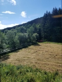 Germany Train 2 80pc