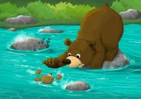 Baby bear in the river