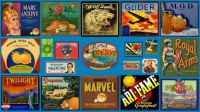 Label Montage 45
