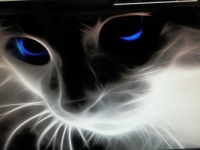 Ole' blue eyes.