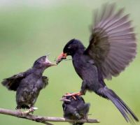 "OUCH, MOMMY!!!"