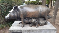 Schweinefamilie