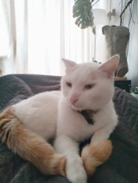 KNUFFELS van Dorus  (hugs from Dorus)