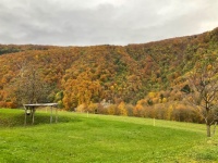 Autumn 1