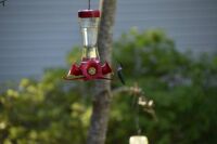 Hummer at Nieghbor
