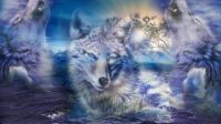 Wolf Spirits